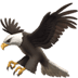 :eagle: